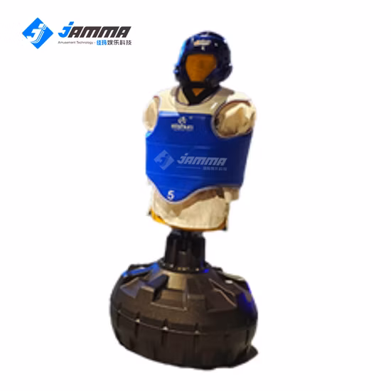 Heavy Training Indoor Ar Boxing Machine Equipment