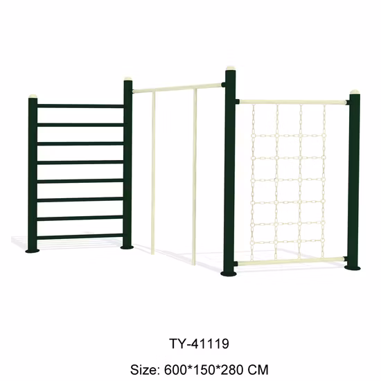 High Quality Gym Outdoor Gym Outdoor Fitness Equipment (TY-41064)