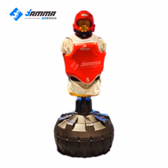 Heavy Training Indoor Ar Boxing Machine Equipment